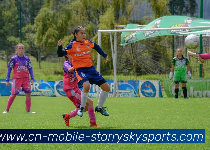 星空体育APP 封面图